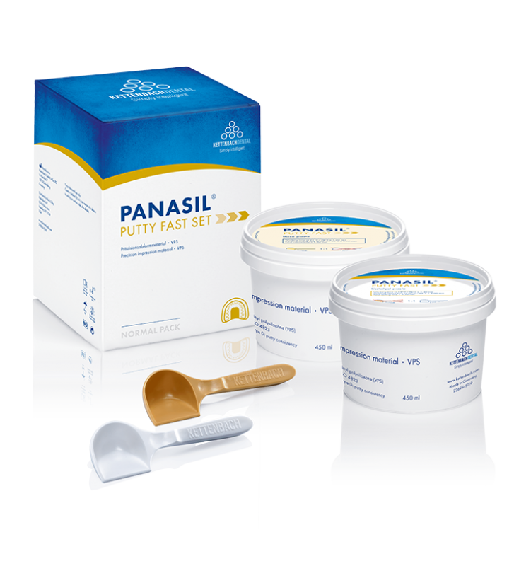 Panasil Putty Fast